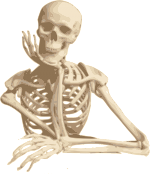 7: Appendicular Skeleton