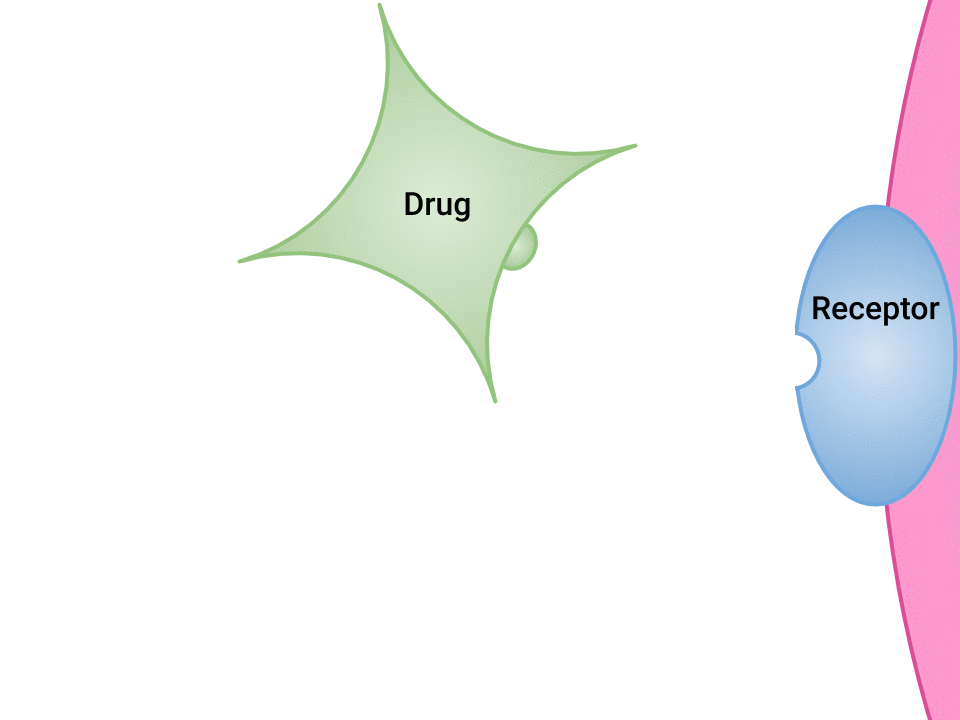 Анімоване зображення зв'язування препарату з рецептором