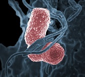 3: Antimicrobials