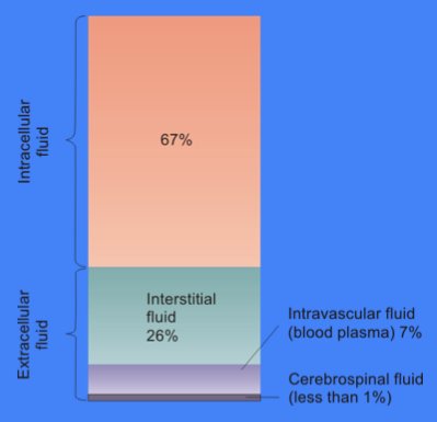 Graph indicating the relative proportions of intracellular fluid (67%) and extracellular fluid (33%). Extracellular fluid is further divided to show 26% interstitial fluids, 7% blood plasma, and <1% other tissue fluids (such as cerebrospinal fluid). 
