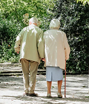 Book: Care Navigation of Older Adults