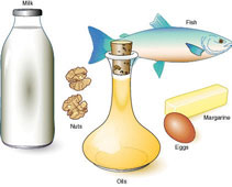 Illustration of assorted foods that are high in Omega 3 fats: milk, walnuts, oil, eggs, margarine