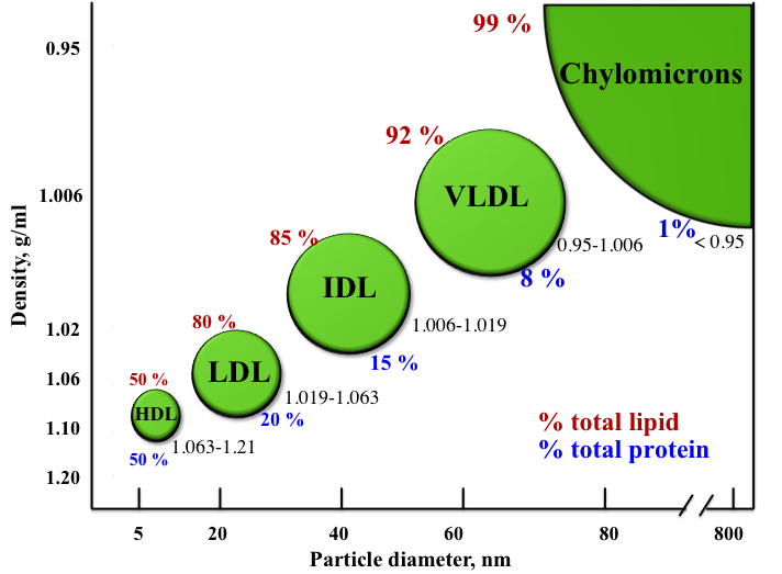 A graph showing the major types of lipoproteins based on their densities. Density range is shown as well as total lipid (TL) and total protein (TP) content. 1. HDL TL50% + TP50%, 2. LDL TL80%+TP20%, 3. IDL TL85%+TP15%, 4. VLDL, TL92%+TP8%, 5. Chylomicrons TL99%+TL1%.