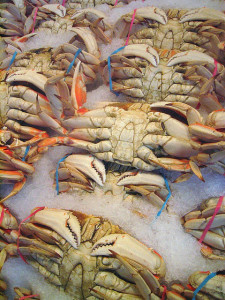 Crabs on ice in a market