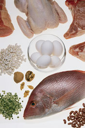 Eggs, Fish, chicken, and other protein sources