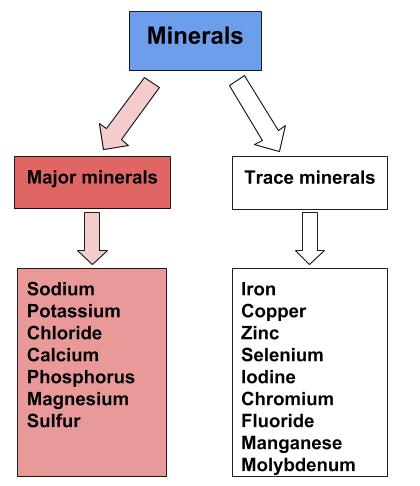 Major-Minerals-1.jpg