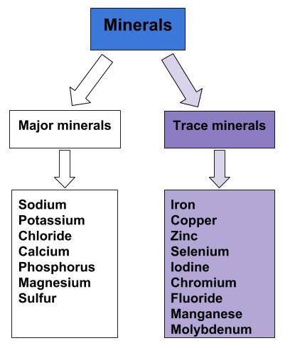 Trace-minerals-1.jpg