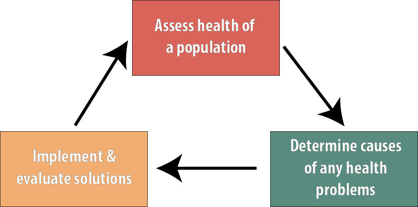 Figure 1 which shows 3 boxes connected cyclically. The top box says "assess health of a population," which points to a box saying "Determine causes of any health problems," which points to a box that says "Implement and evaluate solutions," which points back to the first box.