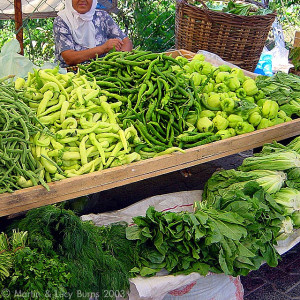 Farm stand with only green vegetables