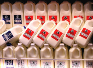 Rows of milk cartons