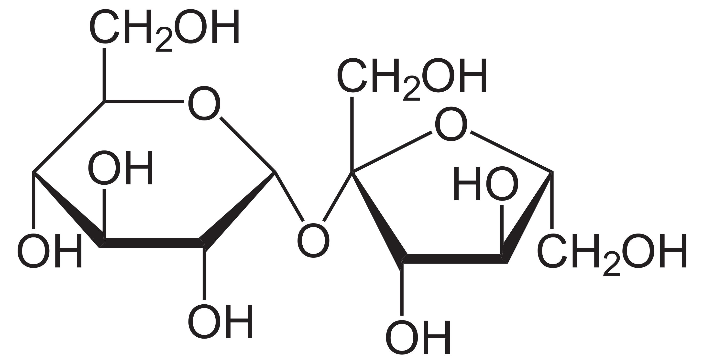 Hayworth projection of the chemical structure of sucrose.