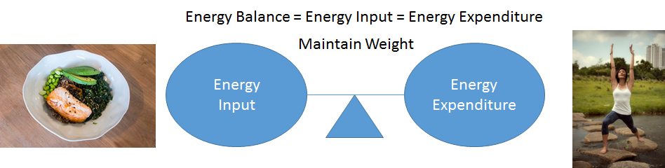 A balance scale showing energy input (salmon meal) equaling energy expenditure (someone stretching)