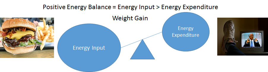 A balance scale showing larger energy intake (with hamburger and fries) and a smaller energy expenditure (with someone watching T.V.)