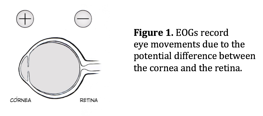 EOGs record eye movement due to the potential difference between the cornea and the retina.