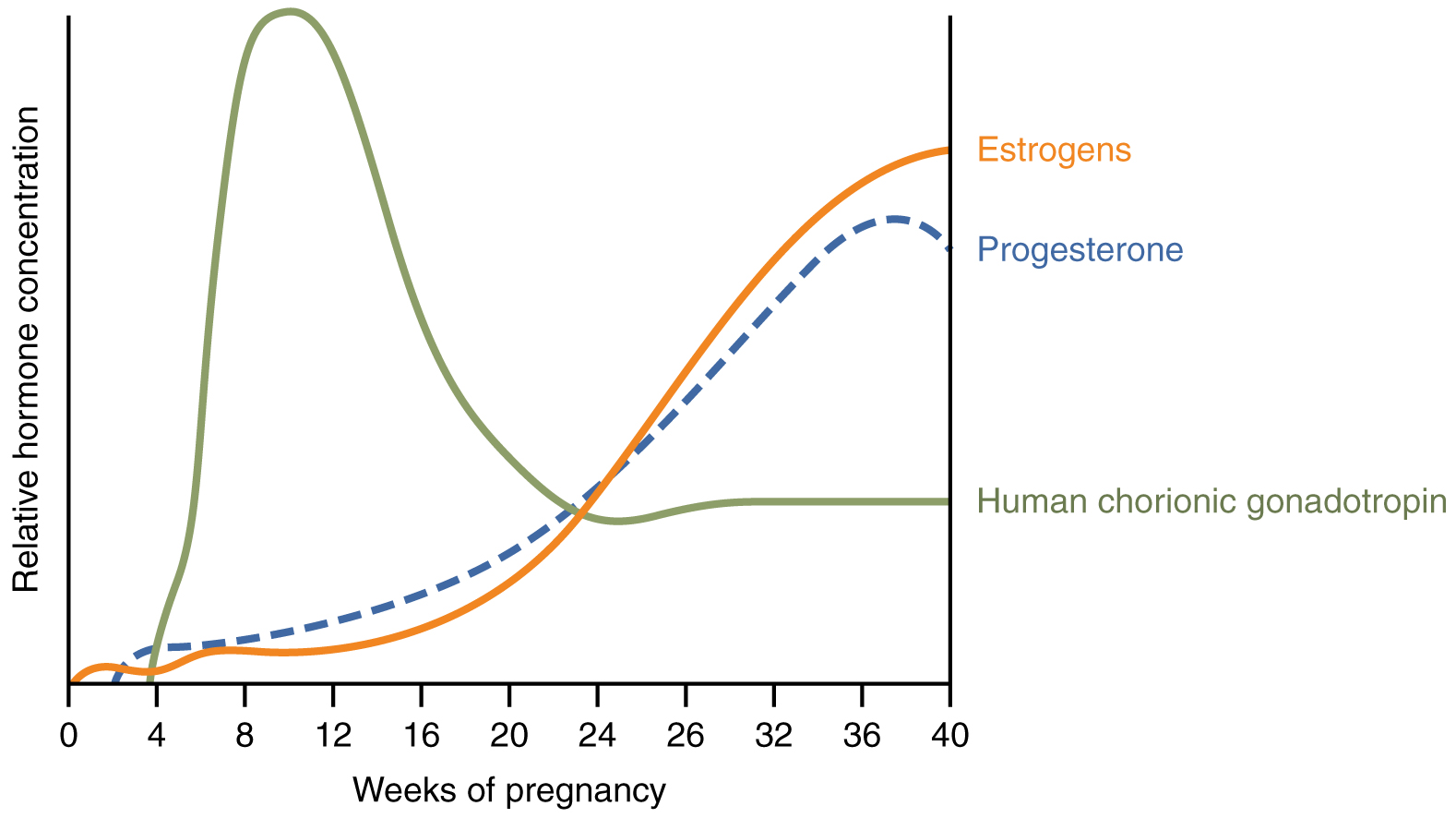 Una gráfica de concentración hormonal versus semana de embarazo muestra cómo varían tres hormonas a lo largo del embarazo.