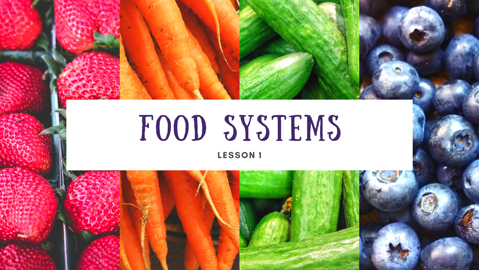 Lesson 1: Food systems