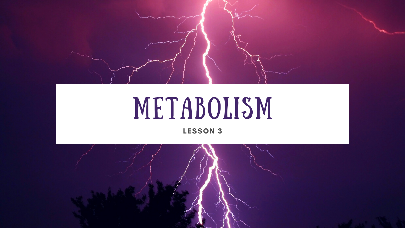 Lesson 3 Metabolism