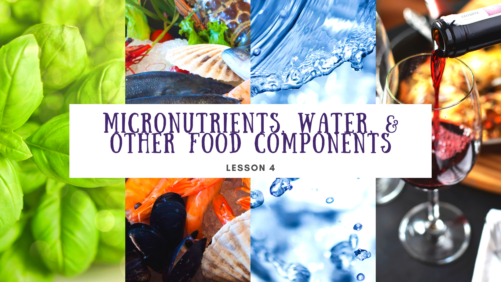 Lesson 4 Micronutrients, water, and other food components