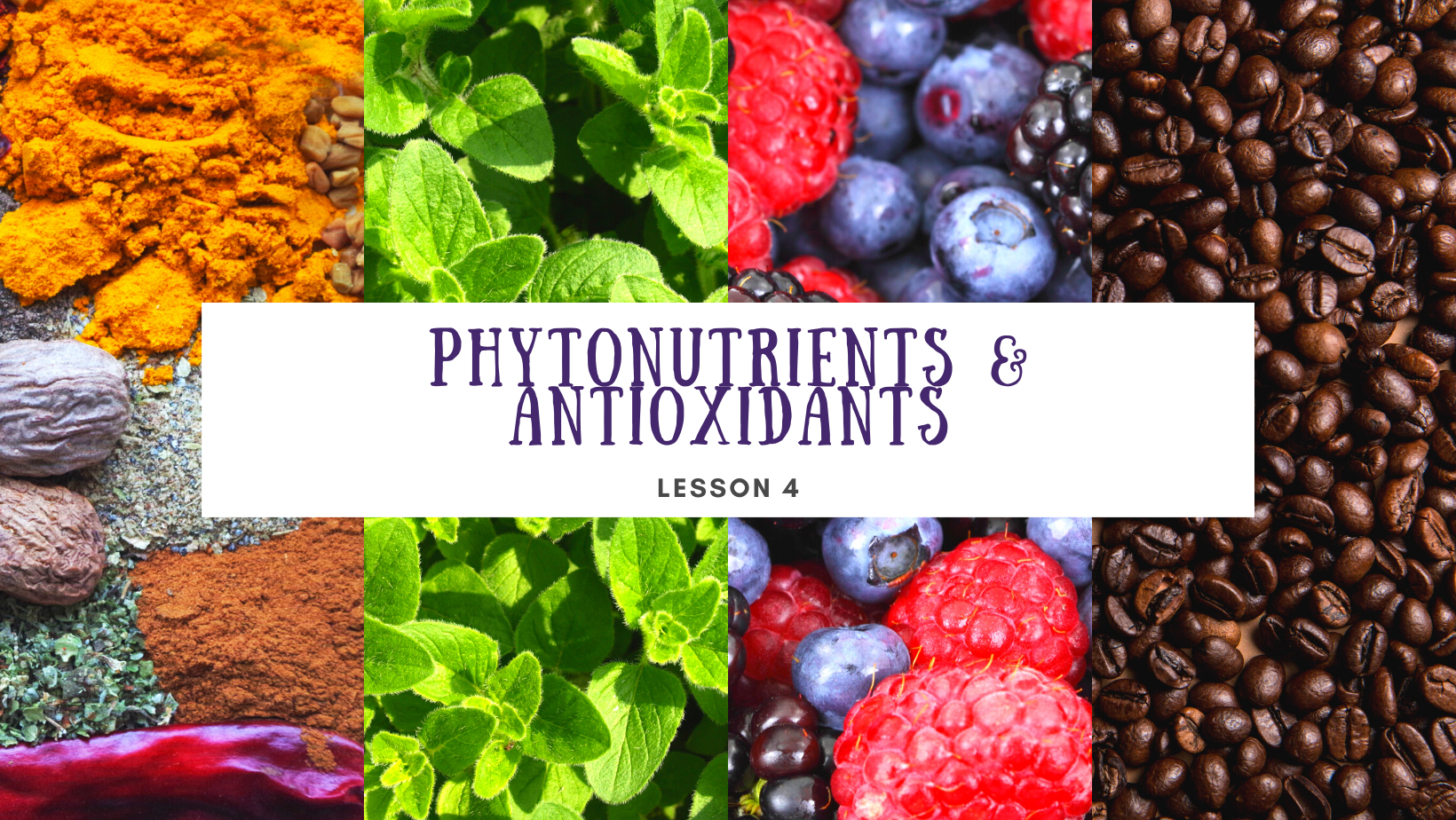 Lesson 4 Phytonutrients and Antioxidants