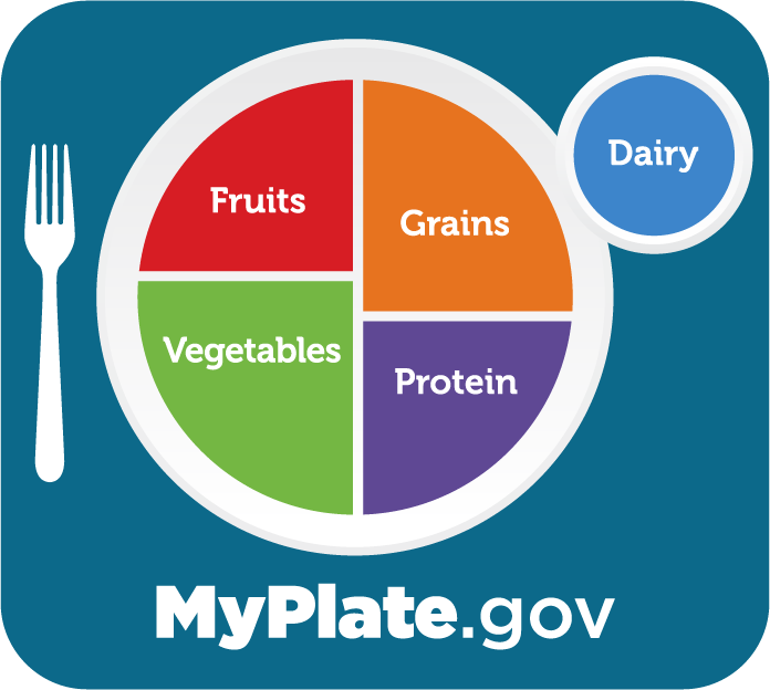 תמונה המציגה מדריך מזון MyPlate