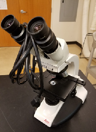 1: Overview and the Microscope
