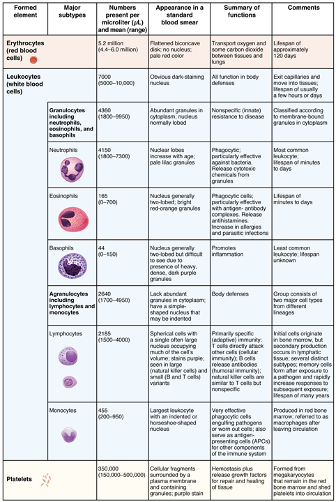 Esta tabla muestra los diferentes tipos de células presentes en la sangre, el número de células, su apariencia y un resumen de su función.