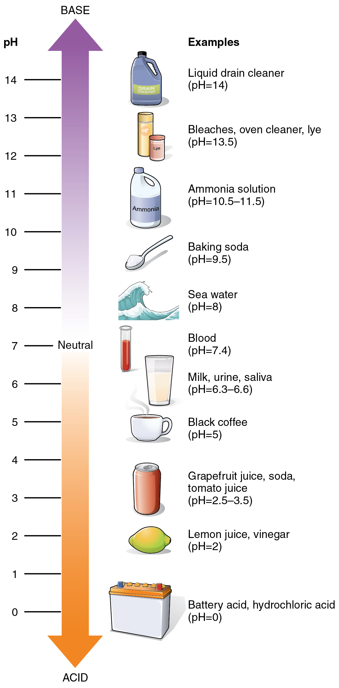 pH scale and examples