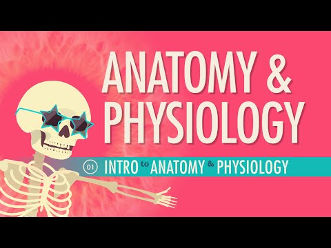 Thumbnail for the embedded element "Introduction to Anatomy & Physiology: Crash Course A&P #1"