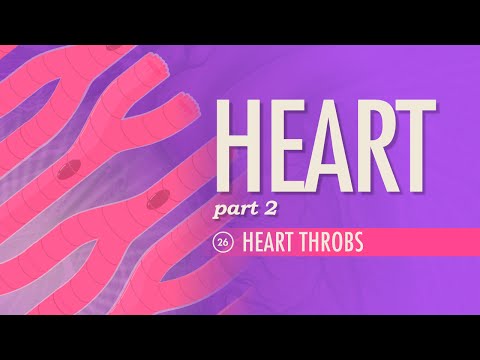 Miniatura para el elemento incrustado “El Corazón, Parte 2 - Heart Throbs: Crash Course A&P #26”