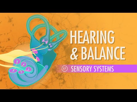 Thumbnail for the embedded element "Hearing & Balance: Crash Course A&P #17"