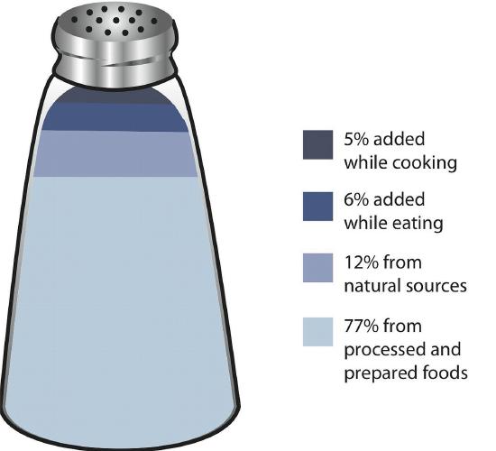 Graphic of a salt shaker indicating proportion of sodium from various sources: 5% of dietary sodium is added while cooking, 6% while eating, 12% comes from natural sources, and 77% comes from processed and prepared foods.