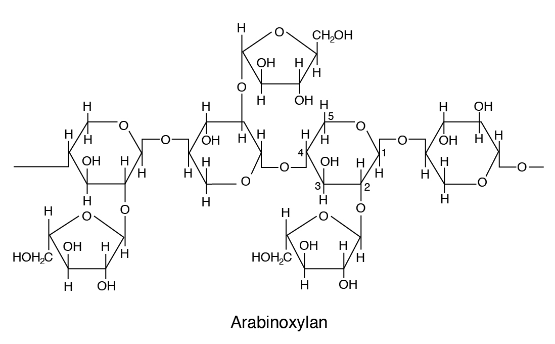 animalnutrition-17.jpg