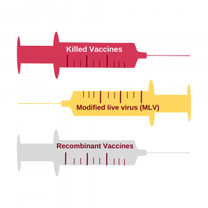 Ilustración de Tipos de Vacunas