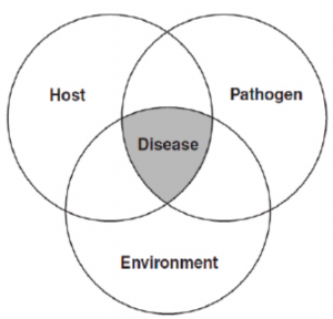 Esta imagen de la tríada epidemiológica muestra cómo los tres factores se superponen para conducir a la enfermedad