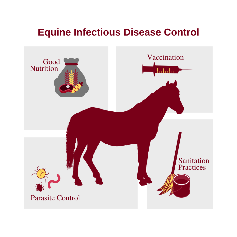 Equine Infectious Disease Control Graphic