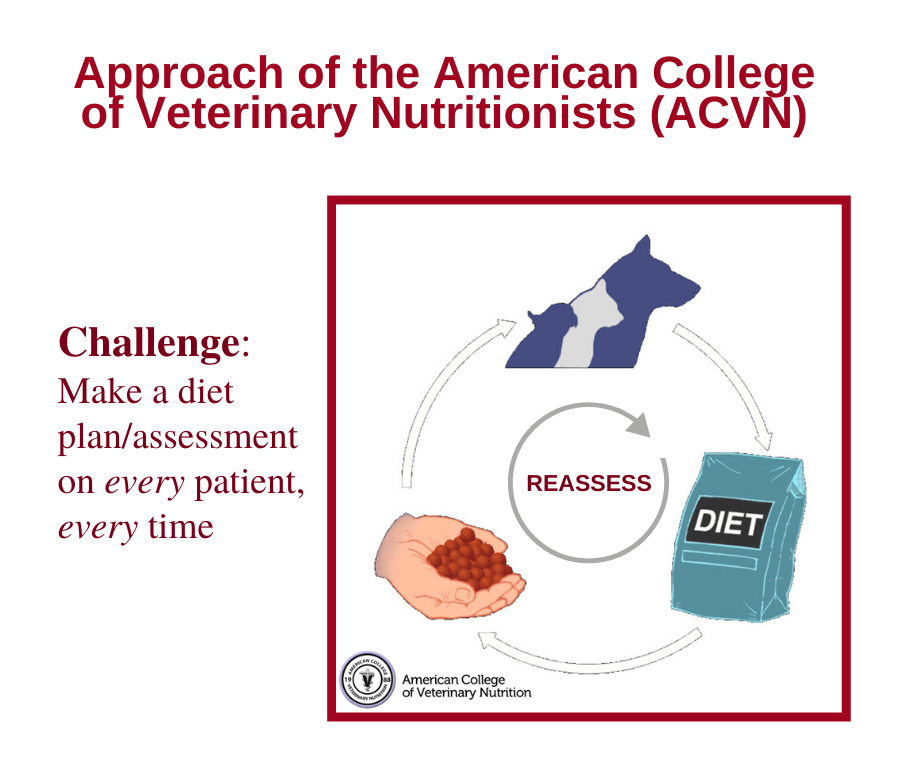 ACVN-Dietary-Approach-e1574383854564.png