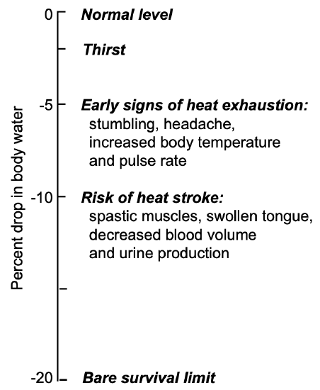 Effects of Dehydration