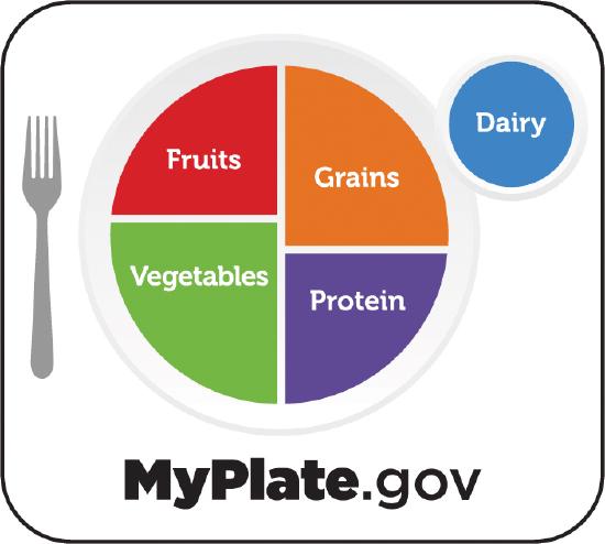 Choose MyPlate graphic with a plate divided into 4 sections each taking up ~ 25% of the plate representing fruit, vegetable, grains, and protein food groups. Dairy food group is represented by a circle in the upper right edge of the plate.