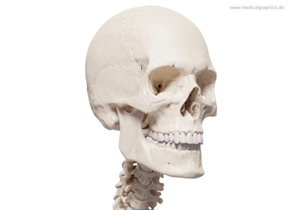 mindtouch.page#thumbnail