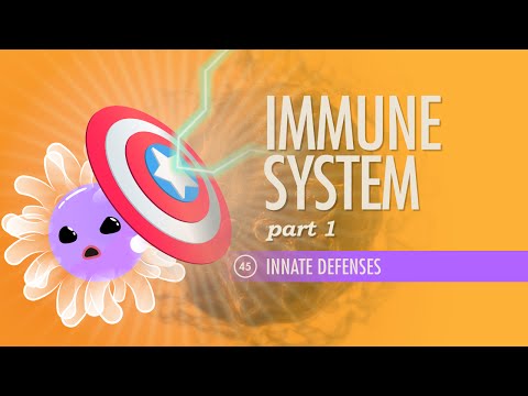 Thumbnail for the embedded element "Immune System, Part 1: Crash Course Anatomy & Physiology #45"