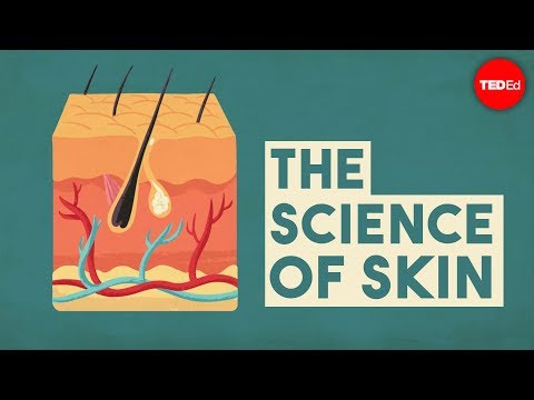 Thumbnail for the embedded element "The science of skin - Emma Bryce"