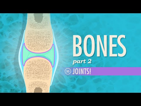 Thumbnail for the embedded element "Joints: Crash Course Anatomy & Physiology #20"