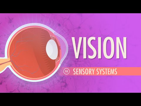 Thumbnail for the embedded element "Vision: Crash Course Anatomy & Physiology #18"