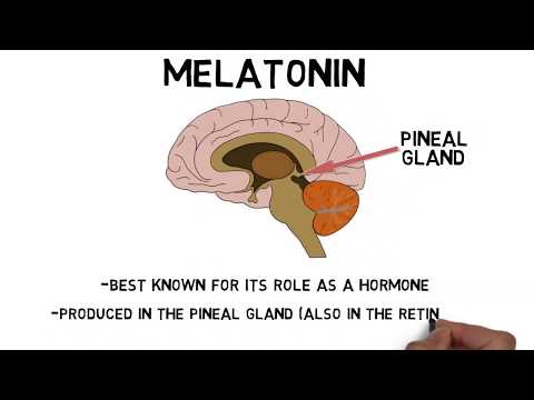 Thumbnail for the embedded element "2-Minute Neuroscience: Melatonin"