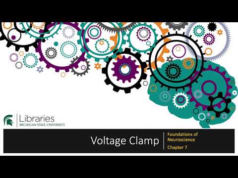 Thumbnail for the embedded element "Chapter 7 - Voltage Clamp"