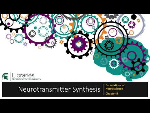 Miniatura para el elemento incrustado “Capítulo 9 - Síntesis de neurotransmisores”