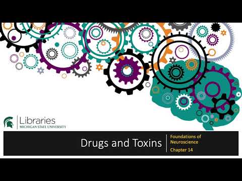 Miniatura para el elemento incrustado “Capítulo 14 - Drogas y Efectos Toxínicos”