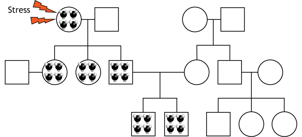 Ilustración de un diagrama de árbol genealógico que muestra factores epigenéticos heredados.
