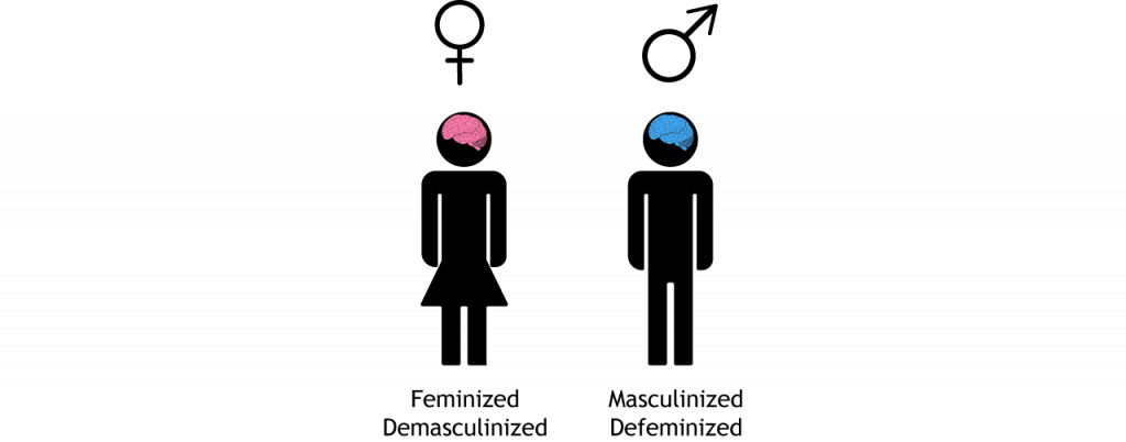 Iconos femeninos y masculinos con cerebros rosados y azules, respectivamente.