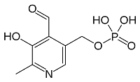 1224px-Pyridoxal-phosphate.svg.png
